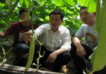 李建设(中)教授指导学生蔬菜栽培技术